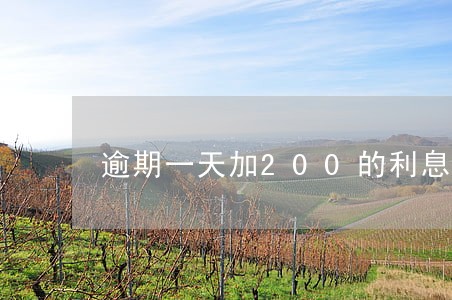 逾期一天加200的利息 逾期一天加200的利息