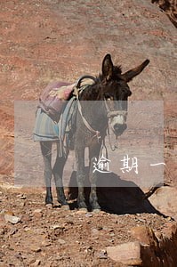 逾期一天多久能恢复正常信用 逾期一天多久能恢复正常信用