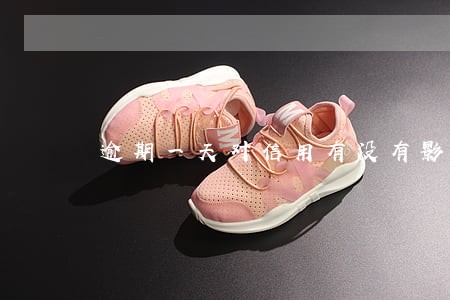 逾期一天对信用有没有影响 逾期一天对信用有没有影响