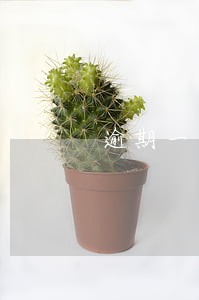 逾期一天对信用有没有影响大吗 逾期一天对信用有没有影响大吗