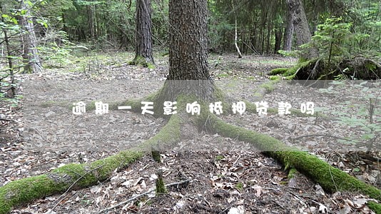 逾期一天影响抵押贷款吗 逾期一天影响抵押贷款吗