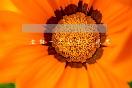 逾期一天快贷0额度 逾期一天快贷0额度