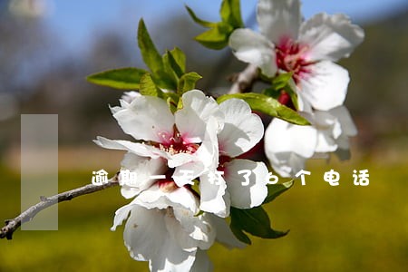 逾期一天打了6个电话 逾期一天打了6个电话