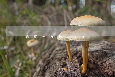 逾期一天扣200