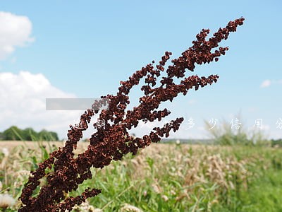 逾期一天扣多少信用分 逾期一天扣多少信用分