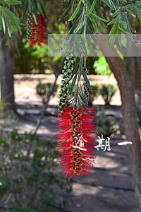 逾期一天百分之10合法吗
