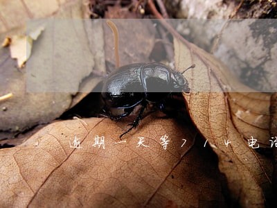 逾期一天等714电话