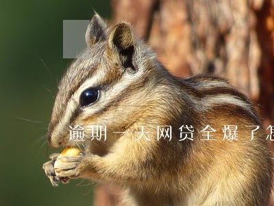 逾期一天网贷全爆了怎么办 逾期一天网贷全爆了怎么办