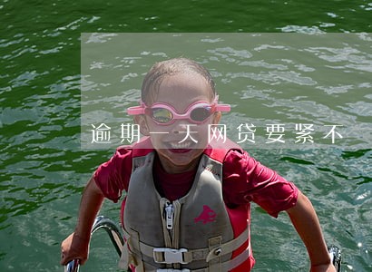逾期一天网贷要紧不 逾期一天网贷要紧不