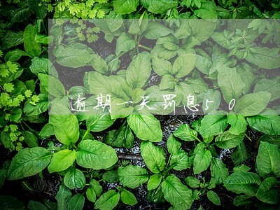 逾期一天罚息50 逾期一天罚息50