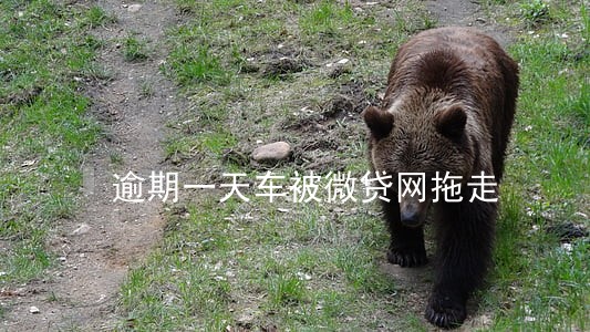 逾期一天车被微贷网拖走 逾期一天车被微贷网拖走