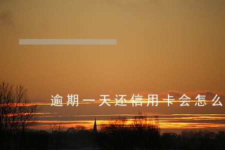 逾期一天还信用卡会怎么样 逾期一天还信用卡会怎么样