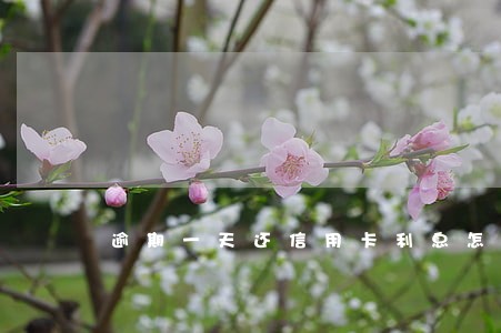 逾期一天还信用卡利息怎么算 逾期一天还信用卡利息怎么算