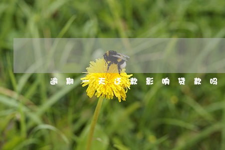 逾期一天还款影响贷款吗 逾期一天还款影响贷款吗