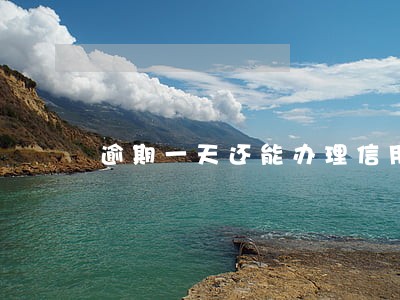 逾期一天还能办理信用卡吗