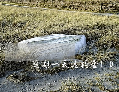 逾期一天违约金100 逾期一天违约金100