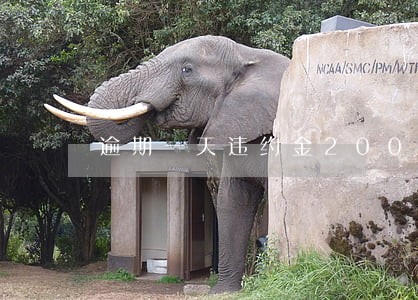 逾期一天违约金200多 逾期一天违约金200多