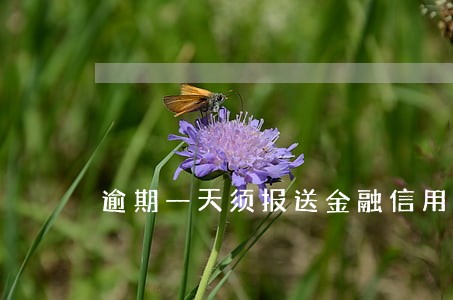 逾期一天须报送金融信用信息 逾期一天须报送金融信用信息