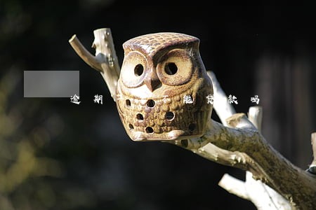 逾期一年不能贷款吗 逾期一年不能贷款吗