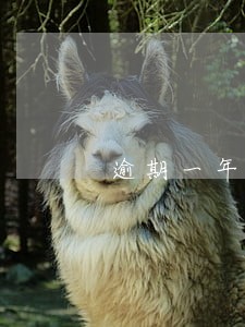 逾期一年了信用卡还能交易吗