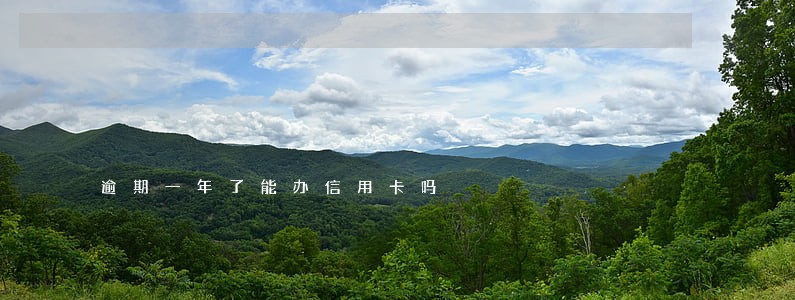逾期一年了能办信用卡吗 逾期一年了能办信用卡吗