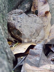 逾期一年以上信用卡 逾期一年以上信用卡