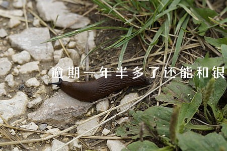 逾期一年半多了还能和银行协商吗 逾期一年半多了还能和银行协商吗