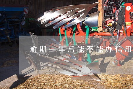 逾期一年后能不能办信用卡 逾期一年后能不能办信用卡