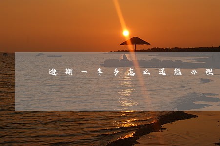 逾期一年多怎么还能办理信用卡 逾期一年多怎么还能办理信用卡