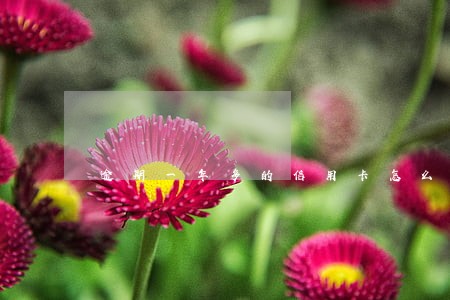 逾期一年多的信用卡怎么催收