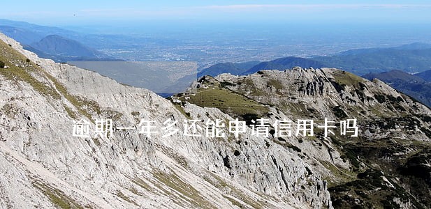 逾期一年多还能申请信用卡吗 逾期一年多还能申请信用卡吗