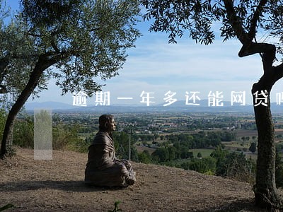 逾期一年多还能网贷吗
