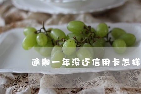 逾期一年没还信用卡怎样申请减免 逾期一年没还信用卡怎样申请减免