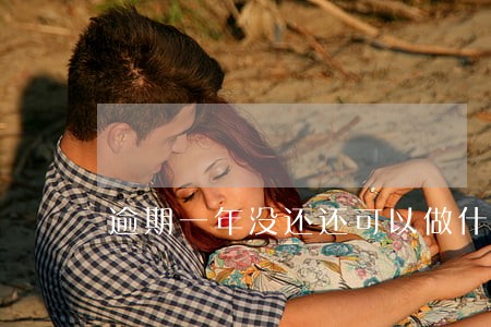 逾期一年没还还可以做什么网贷