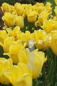 逾期一年的信用会冻结么 逾期一年的信用会冻结么