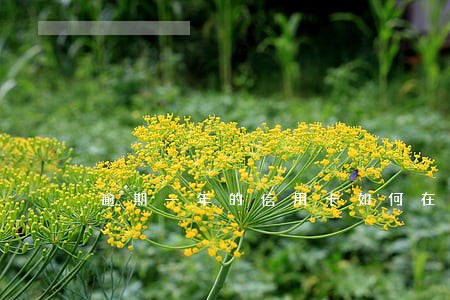 逾期一年的信用卡如何在激活