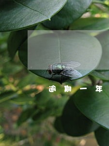 逾期一年的信用卡怎么催收 逾期一年的信用卡怎么催收