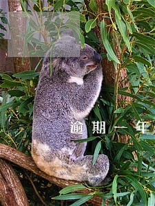 逾期一年的信用卡无法使用