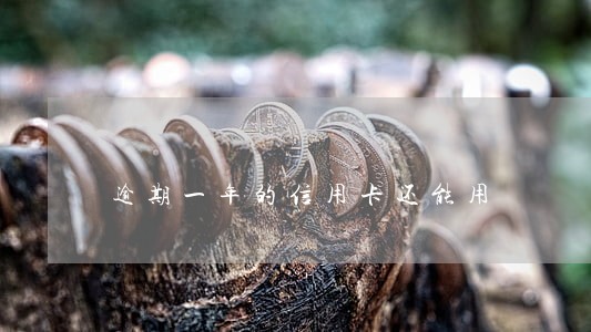 逾期一年的信用卡还能用 逾期一年的信用卡还能用