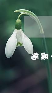 逾期一年的多张信用卡怎么还 逾期一年的多张信用卡怎么还
