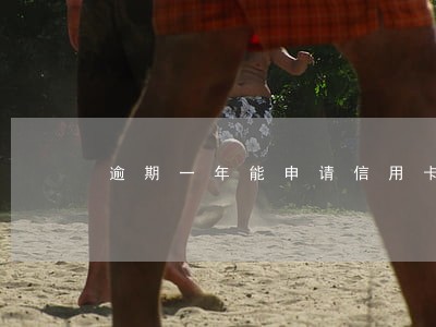 逾期一年能申请信用卡吗