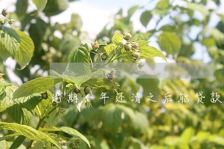 逾期一年还清之后能贷款吗 逾期一年还清之后能贷款吗