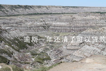 逾期一年还清了可以贷款买房吗 逾期一年还清了可以贷款买房吗