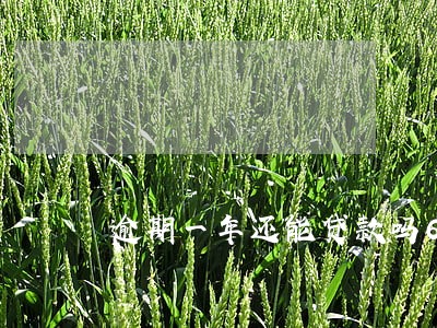 逾期一年还能贷款吗6 逾期一年还能贷款吗6