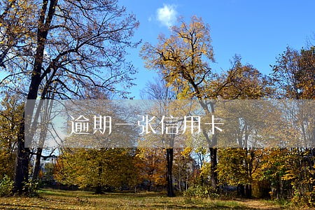 逾期一张信用卡 逾期一张信用卡