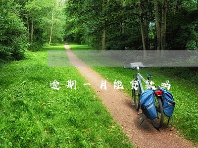 逾期一月能贷款吗 逾期一月能贷款吗