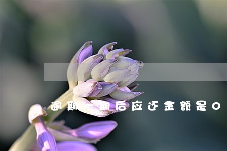 逾期一期后应还金额是0元 逾期一期后应还金额是0元