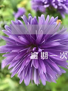 逾期一次90天可以贷款买房吗 逾期一次90天可以贷款买房吗