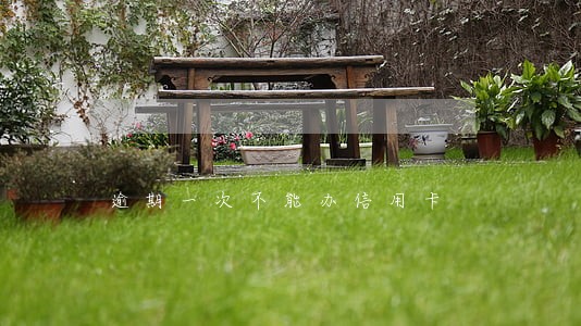 逾期一次不能办信用卡 逾期一次不能办信用卡