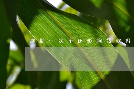 逾期一次不还影响贷款吗 逾期一次不还影响贷款吗